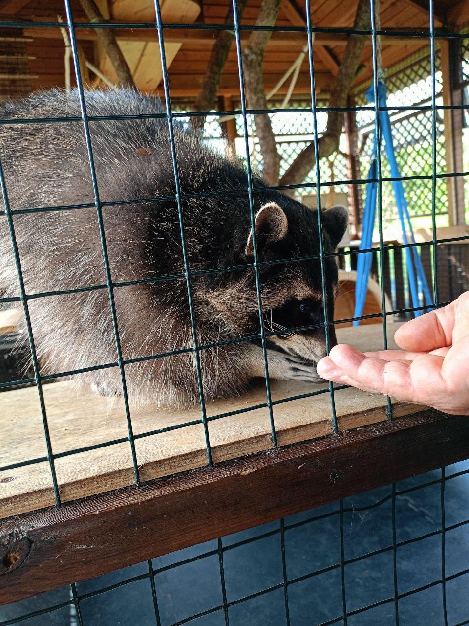 Фото Исцеляют наркоманов и выгоняют за непослушание. Как журналистка из Сибири жила в строгом монастыре на острове Валаам 6
